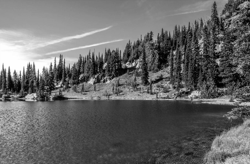 派駐監督系統 派駐監督系統